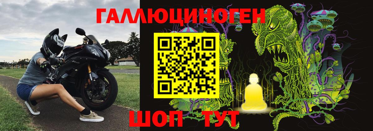 Кемерово  Галлюциногенные грибы прущие грибы  Вход с VPN  Галлюциногенные грибы ЛСД 